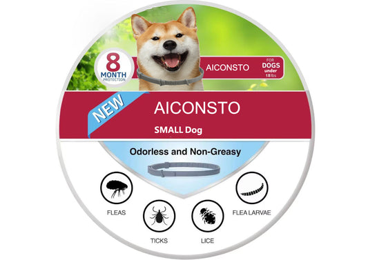 602063330-2